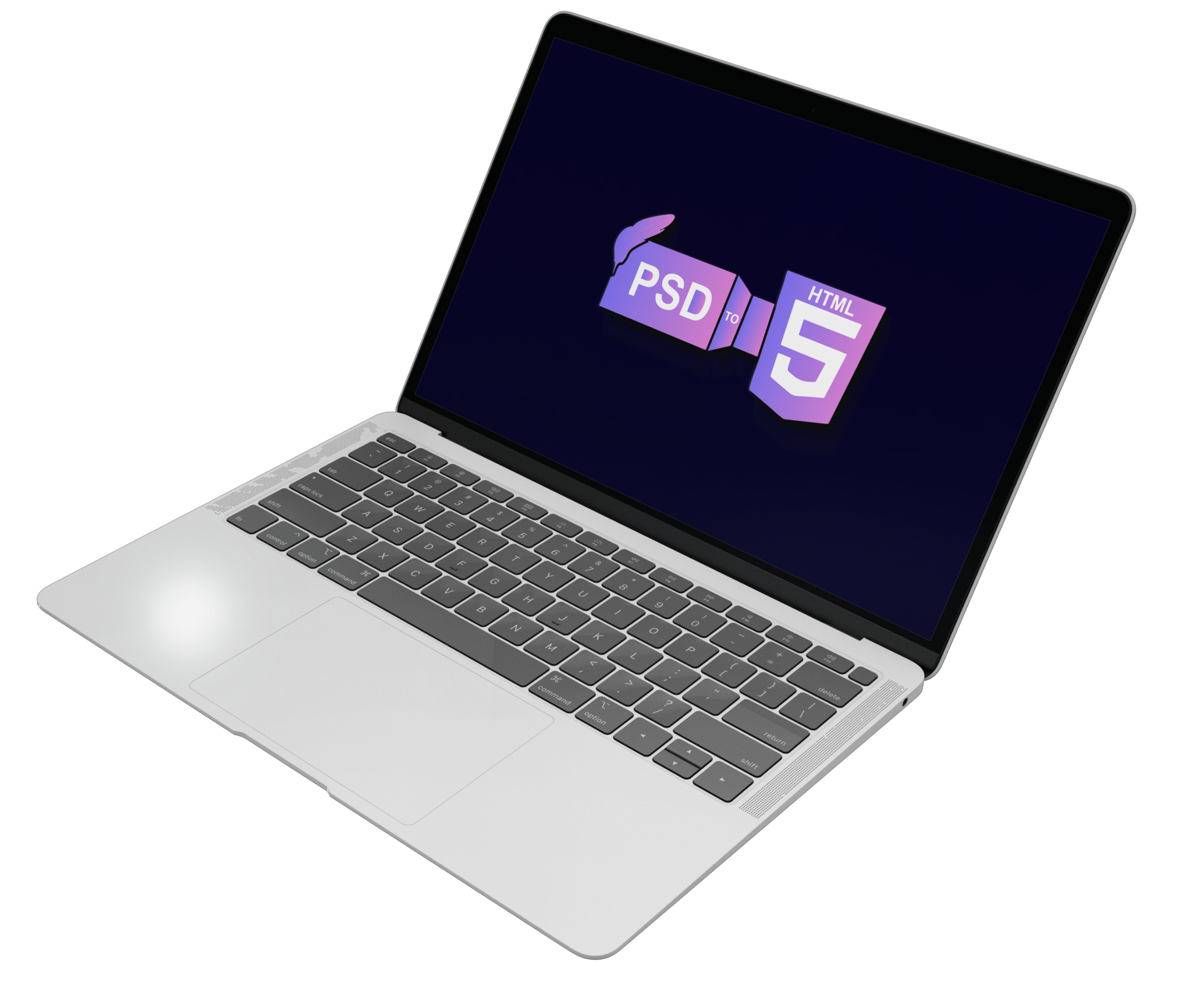 Website Design