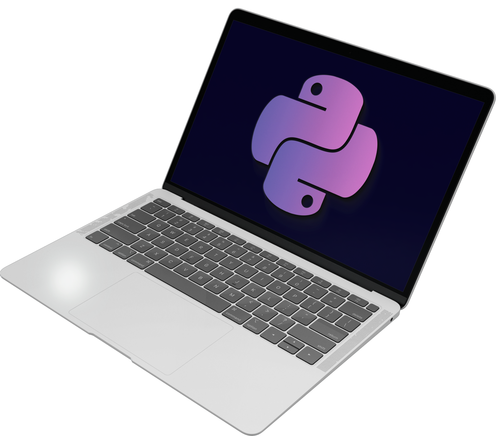 Python Web