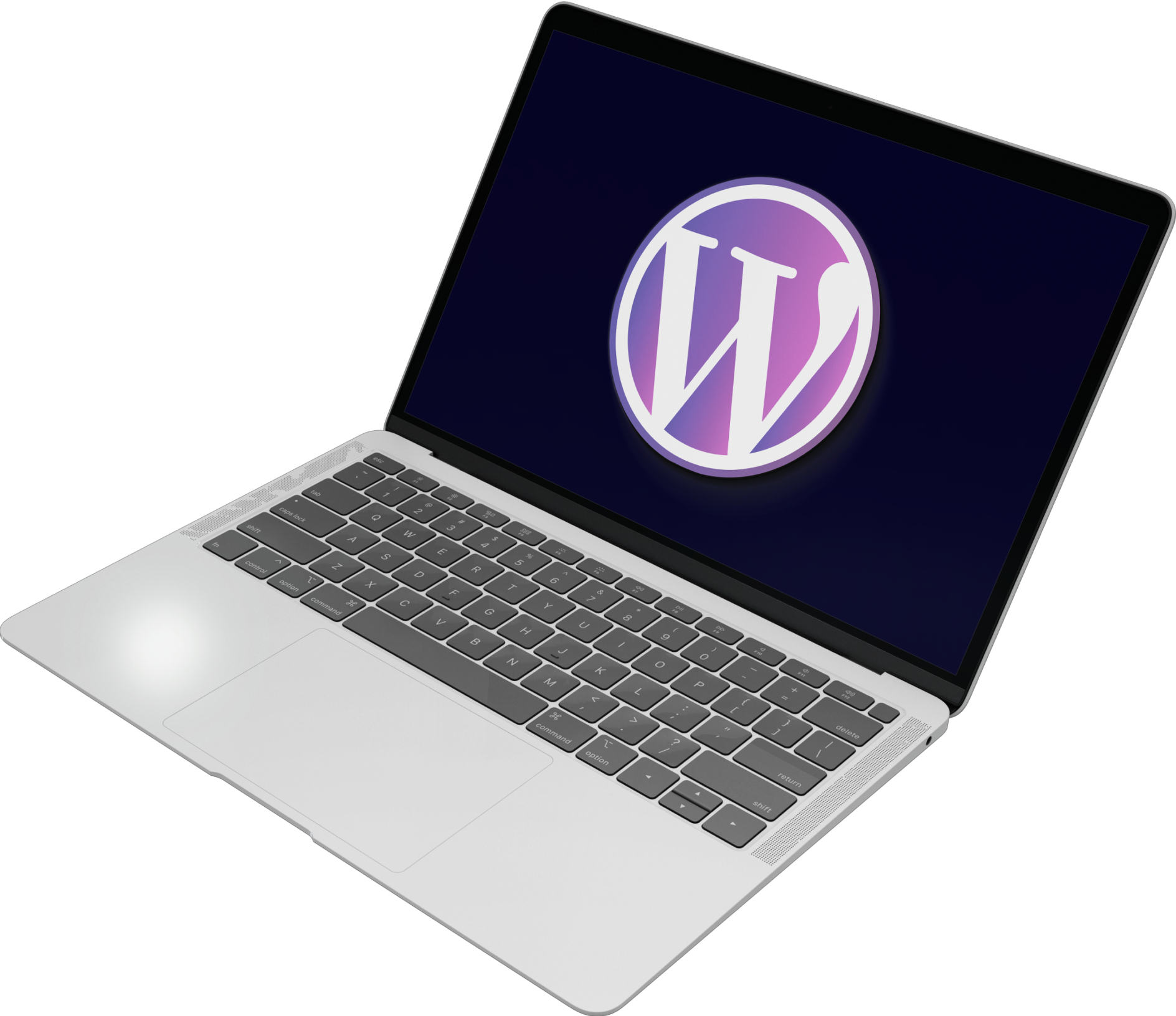 WordPress Web