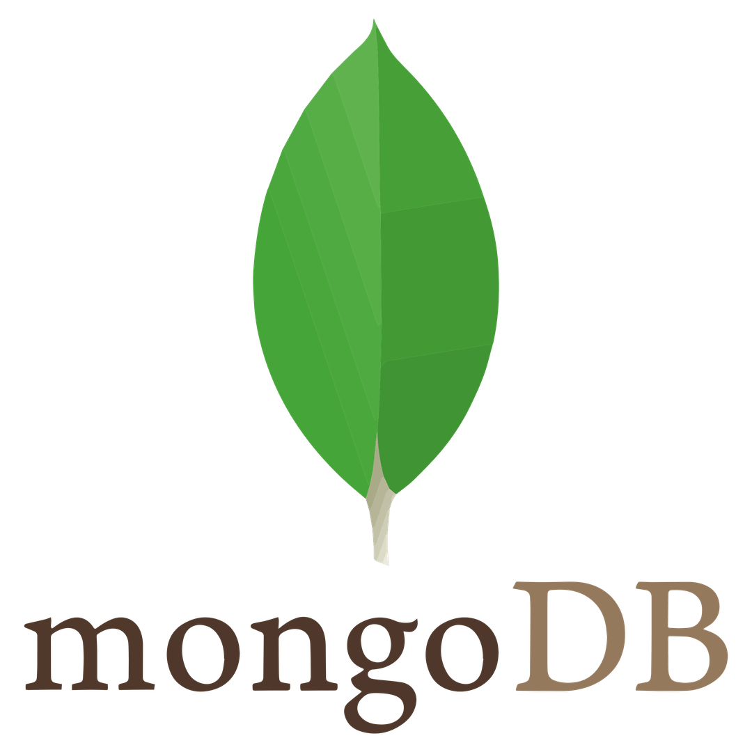 MongoDB Development