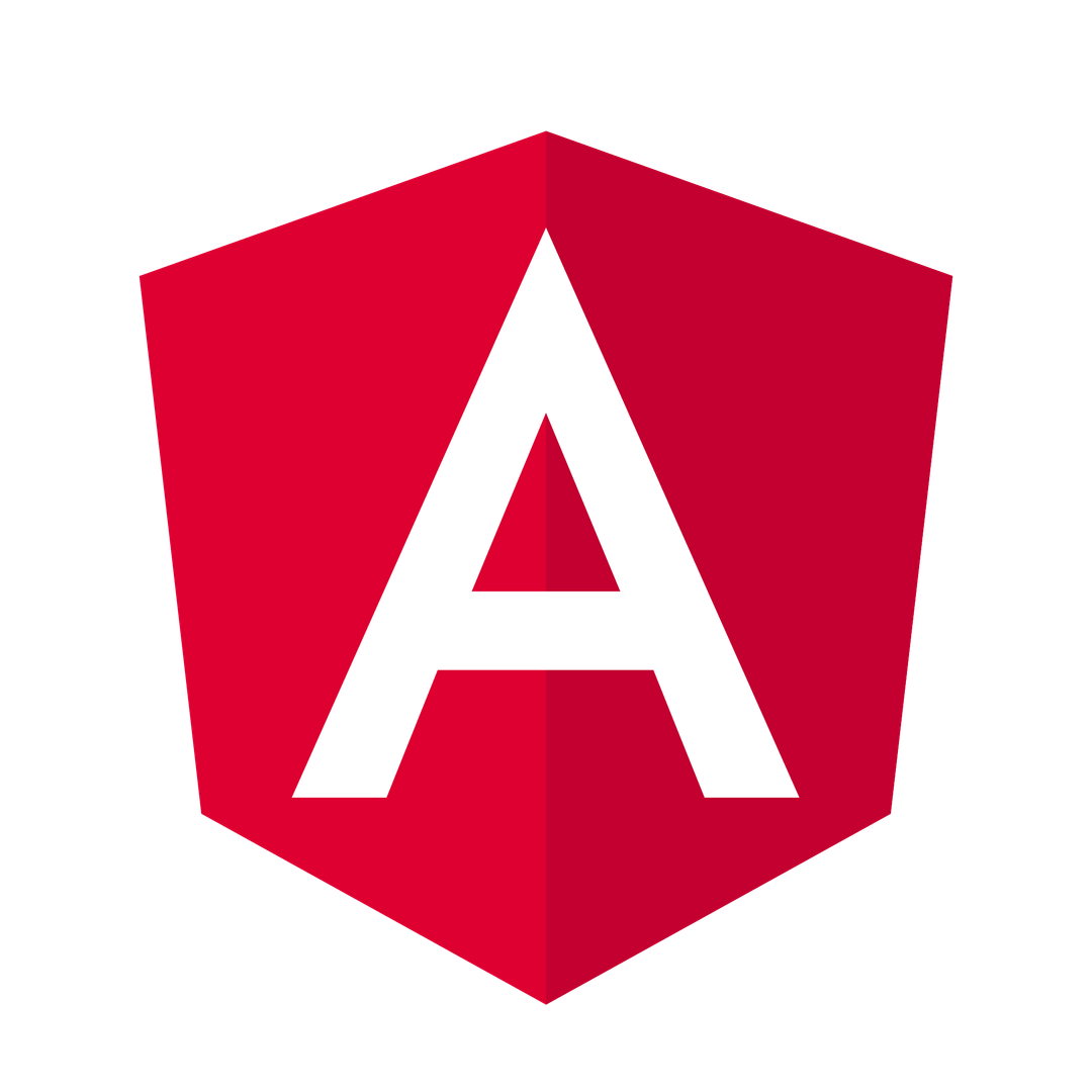 Angular JS Development